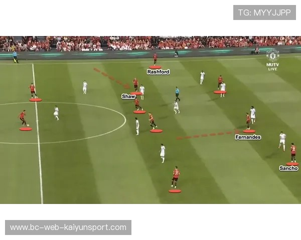 网球教练团队改组，新战术体系悄然形成